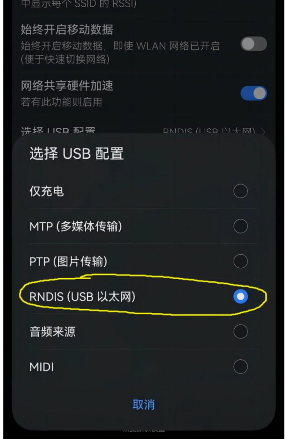 图十七